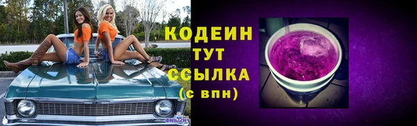 дмт Горнозаводск