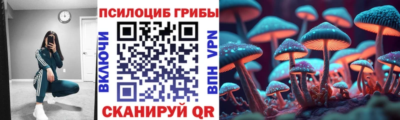 Псилоцибиновые грибы Psilocybine cubensis  Купить где  Куйбышев 